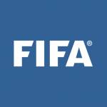 Grupa fanów gry FIFA