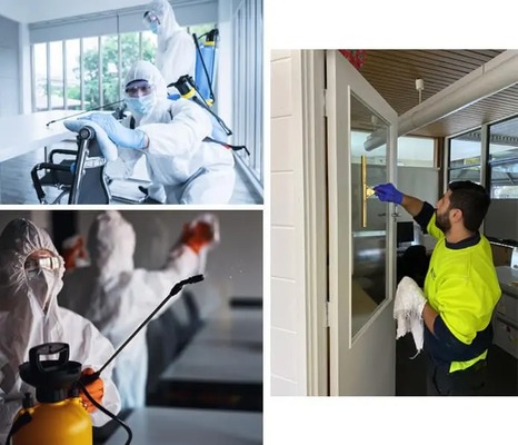 List 8 Key Ways For Mould Removal - Business to Business Member Article By Capital Facility Services