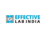 Effective Lab India