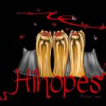 Hihopes Yorkshire Terriers hihopesyorkshireterriers