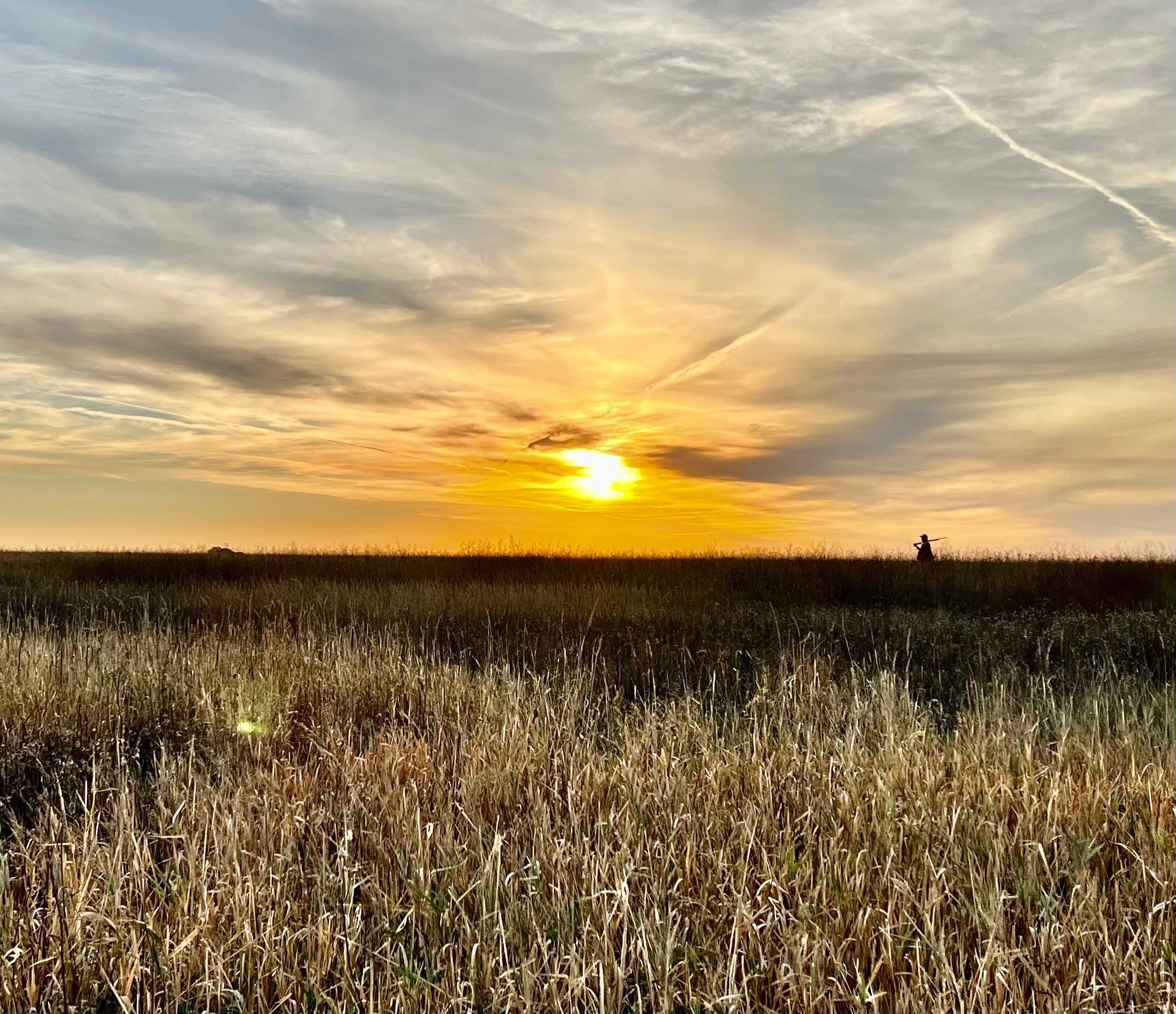 Coteau View Hunts | South Dakota Pheasant Hunting Lodge